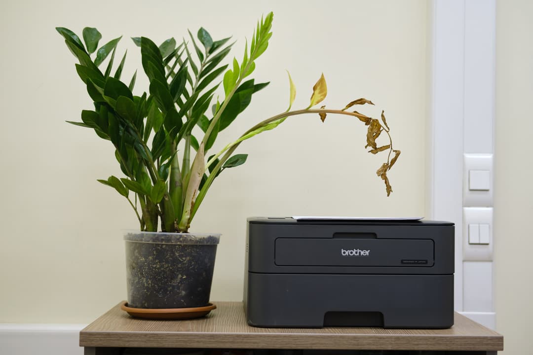 Slim printen met zekerheid: Brother Managed Print Service uitgelegd 