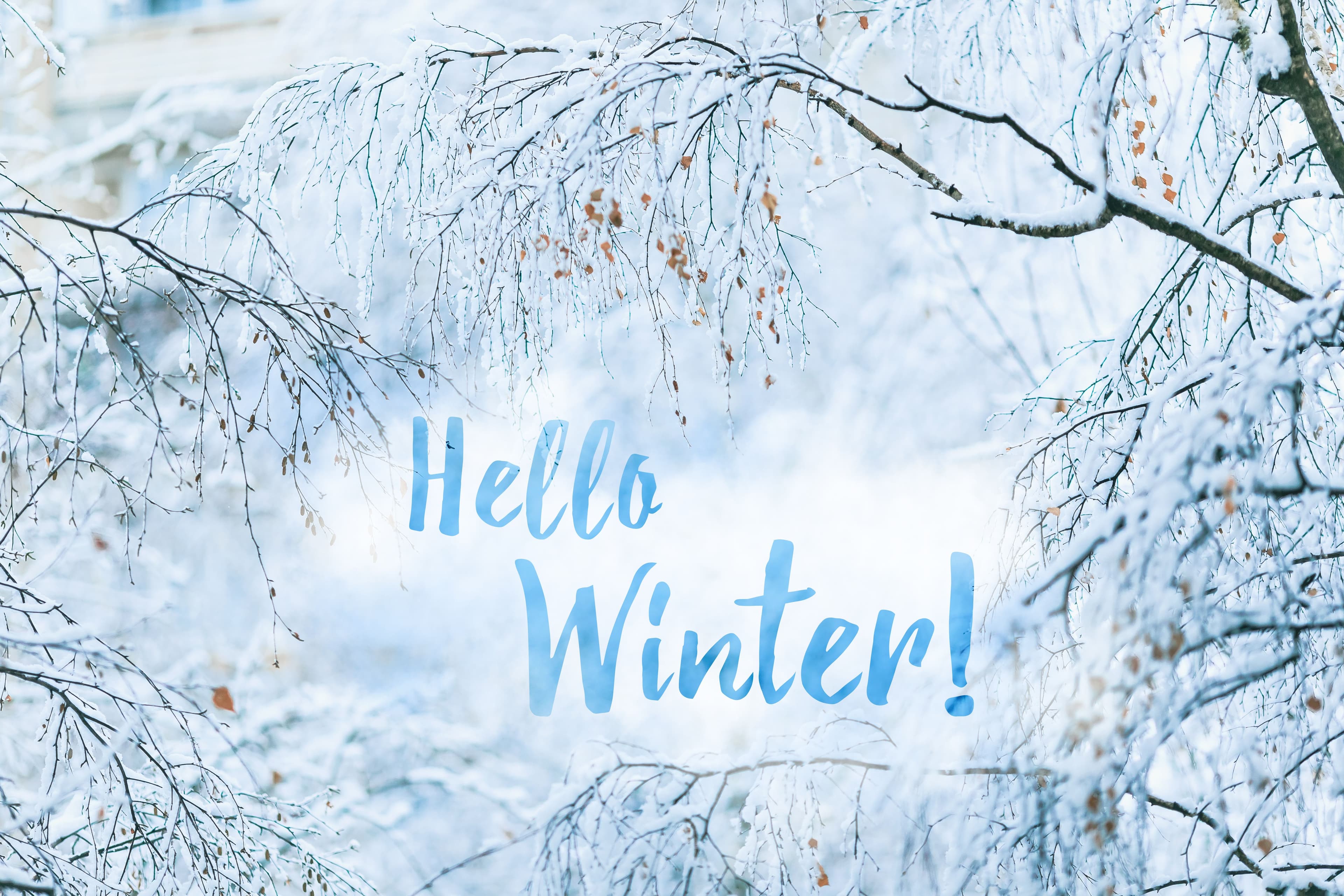 Nieuwsbrief December 2025